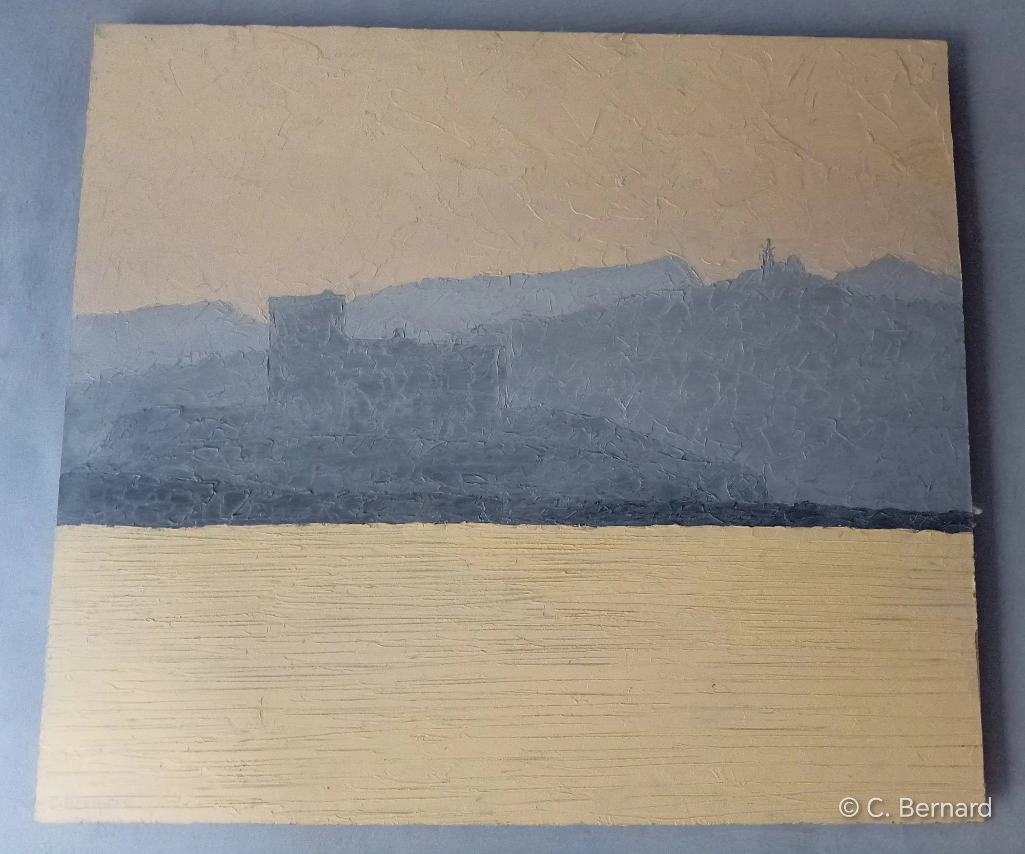 Mer calme en fin de journée 